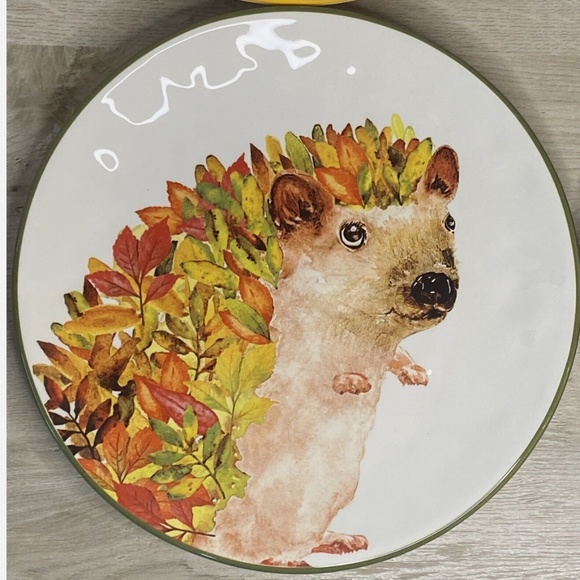 Pier 1~Fall Woodland Animals Set of 4~Salad Plates~New Open Box Hand Painted - Picture 5 of 9